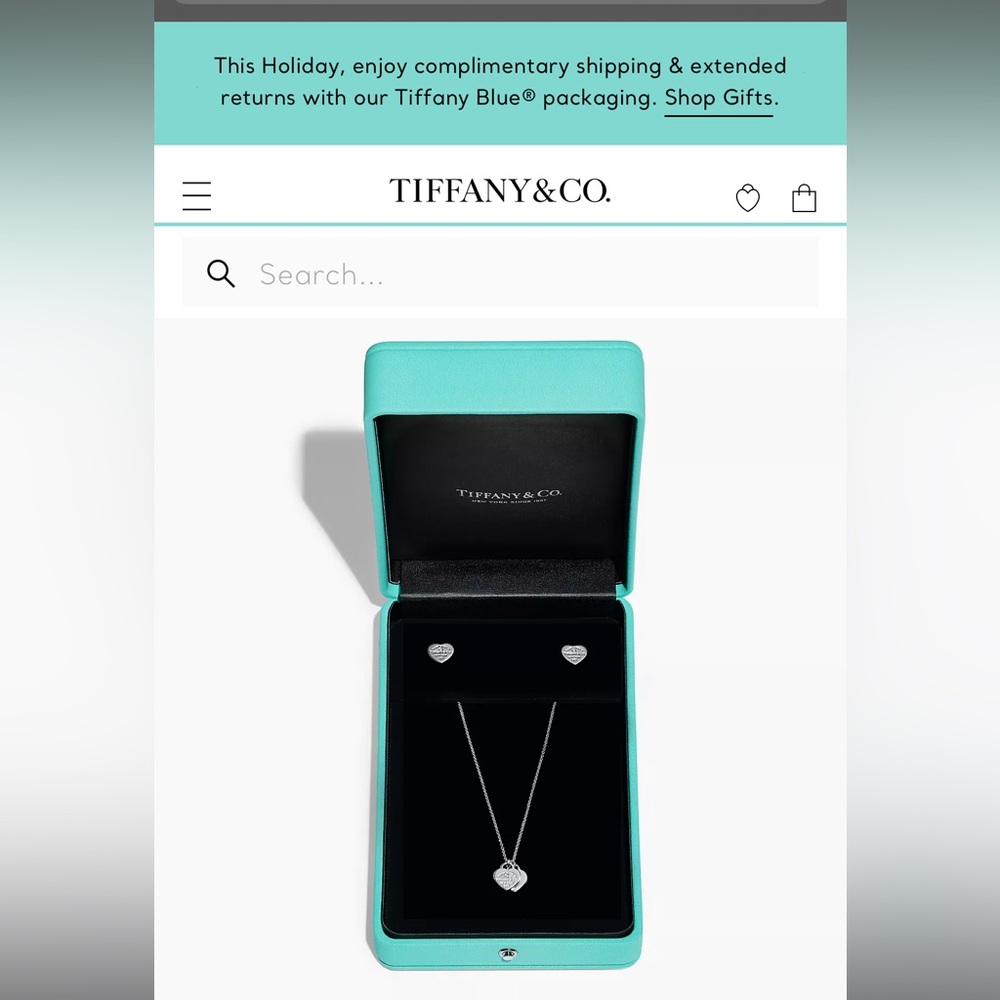 Tiffany co necklace and earrings